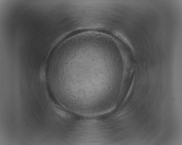 X0000070200483200605261230