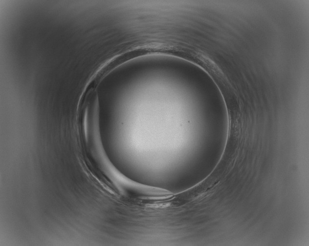 X0000070200484200605261230
