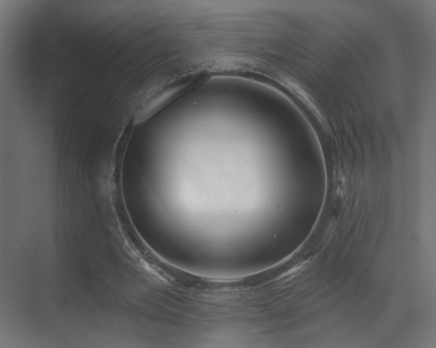 X0000070200485200605261230