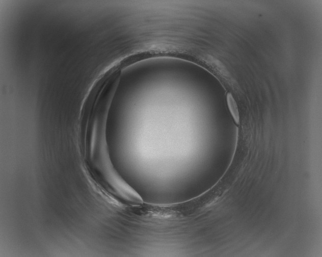 X0000070200488200605261230