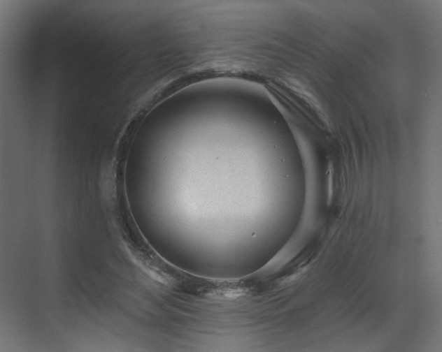 X0000070200492200605261230