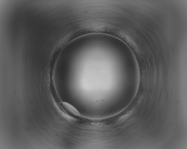 X0000070200493200605261230