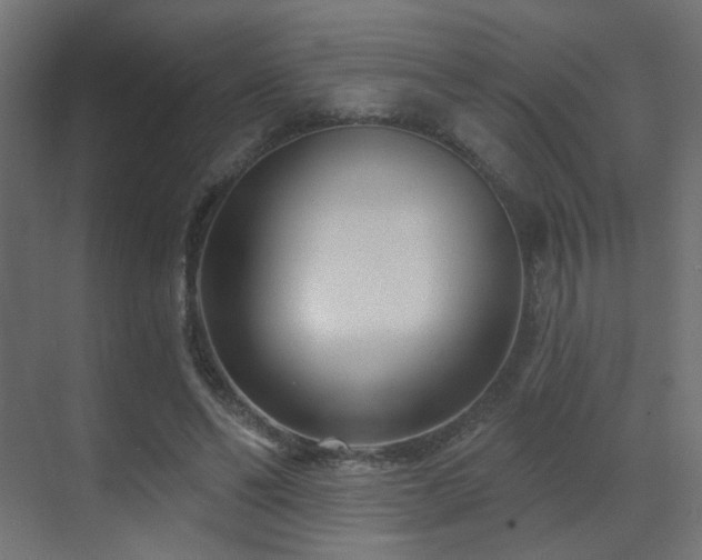 X0000070200494200605261230