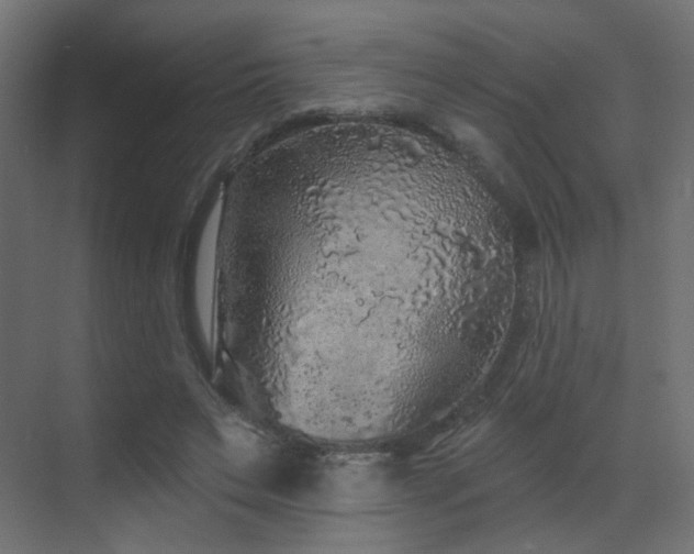 X0000070200495200605261230