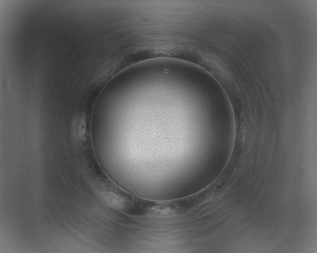 X0000070200502200605261230