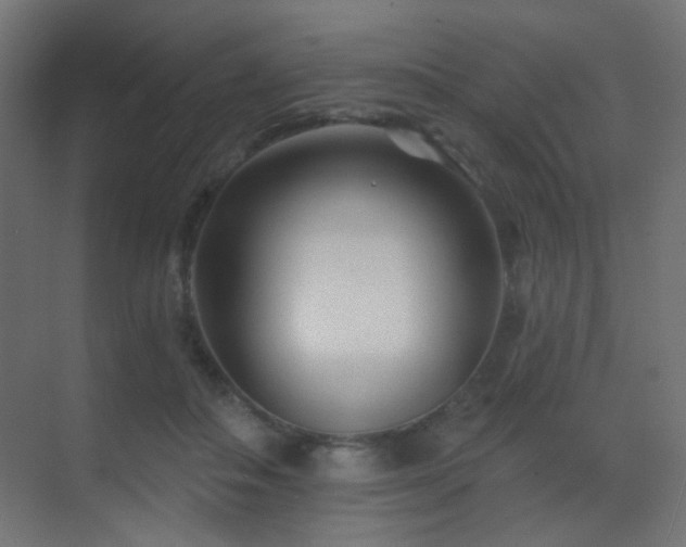 X0000070200506200605261229