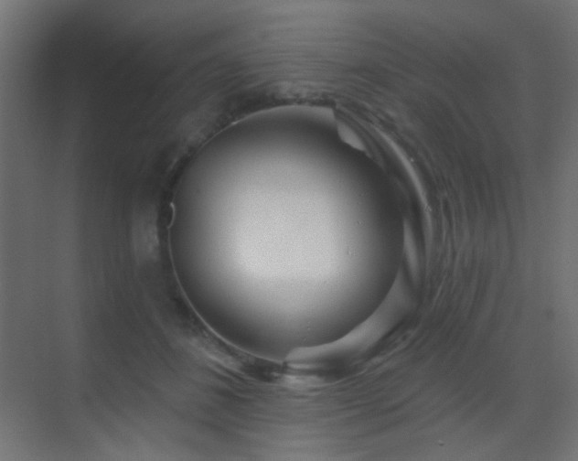 X0000070200508200605261229