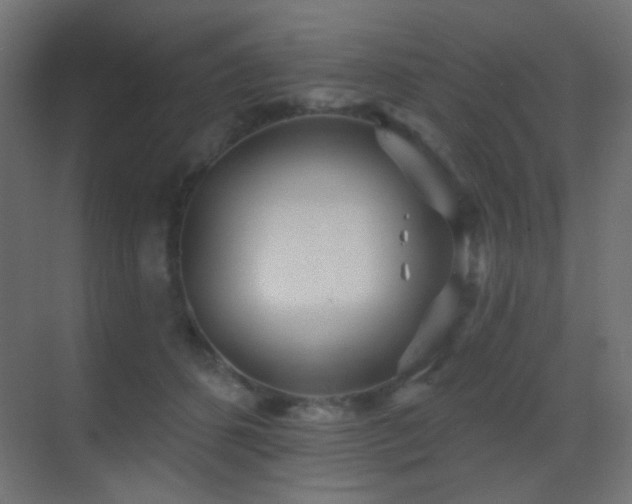 X0000070200512200605261229