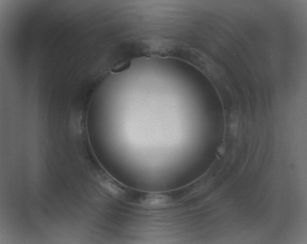 X0000070200514200605261229