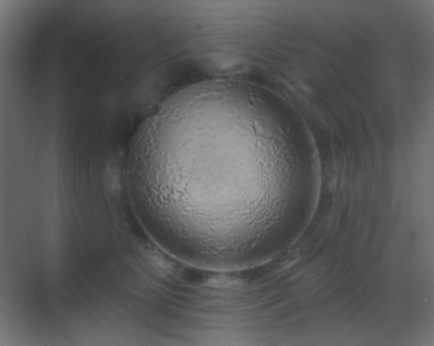 X0000070200515200605261229