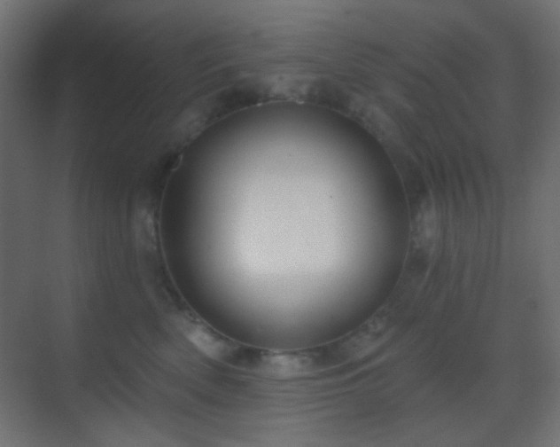 X0000070200522200605261229