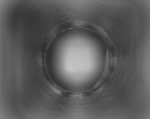 X0000070200524200605261229