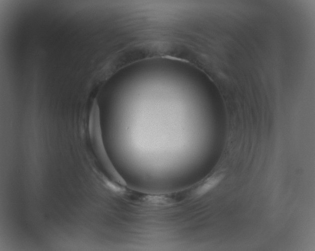 X0000070200528200605261229