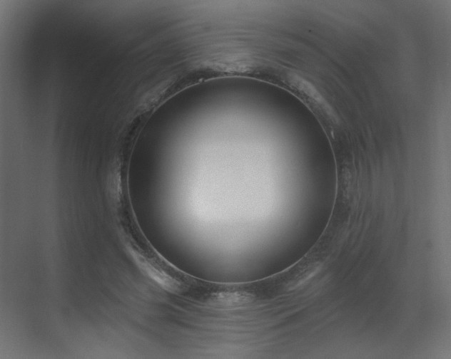 X0000070200541200605261229