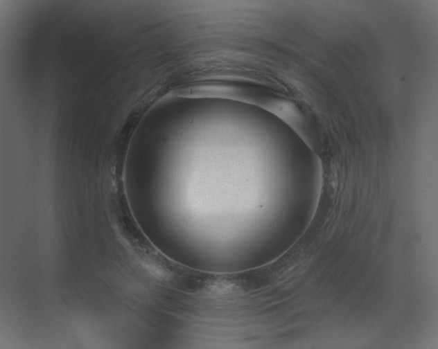 X0000070200547200605261229
