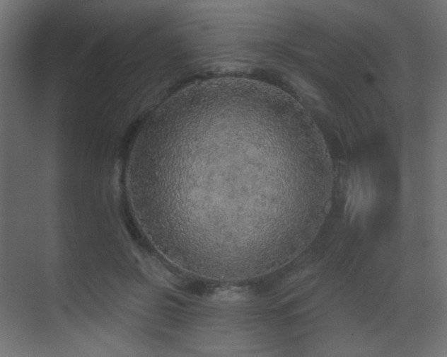 X0000070200550200605261229