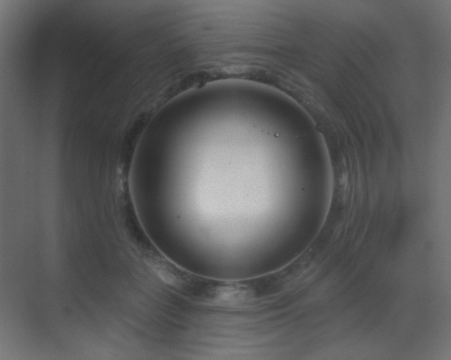 X0000070200555200605261229