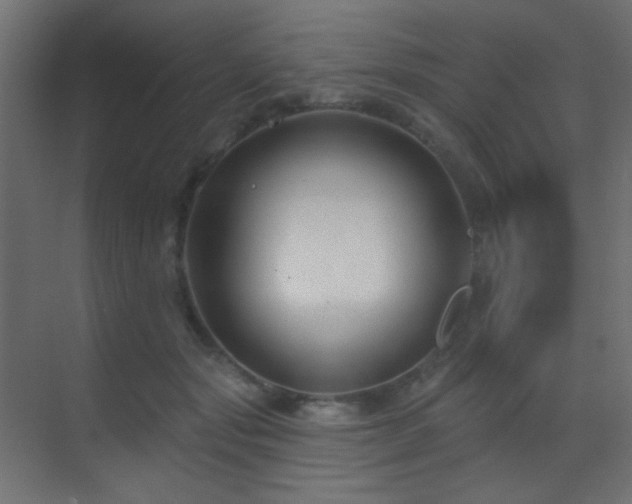 X0000070200557200605261229