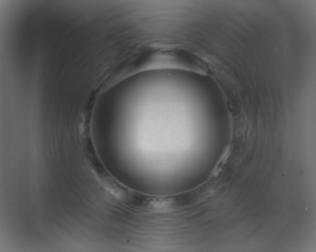 X0000070200560200605261229