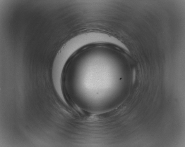X0000070200562200605261229