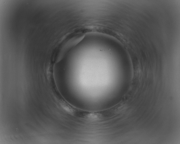 X0000070200566200605261229