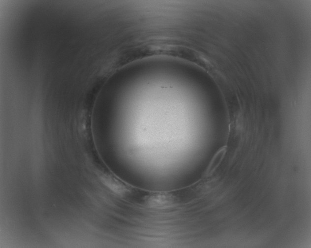 X0000070200567200605261229