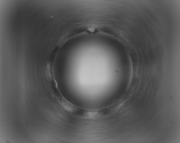 X0000070200575200605261229