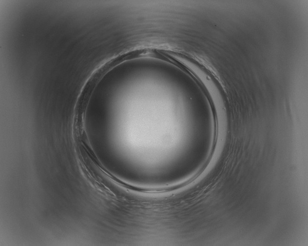 X0000070200579200605261228