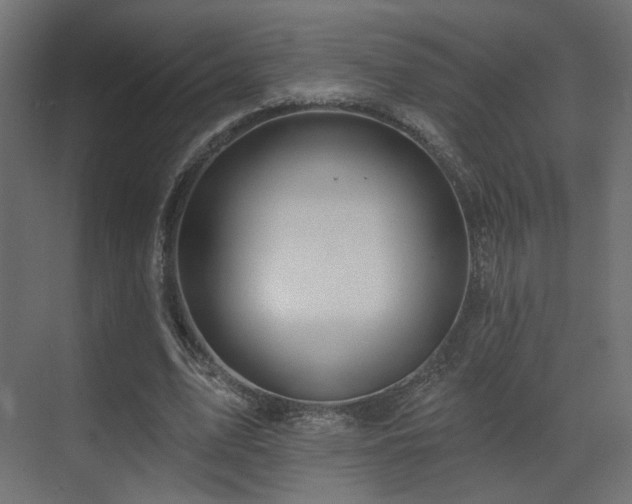 X0000070200583200605261228
