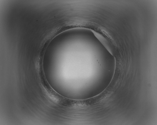 X0000070200586200605261228