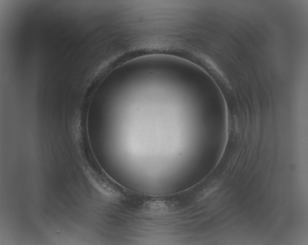 X0000070200588200605261228