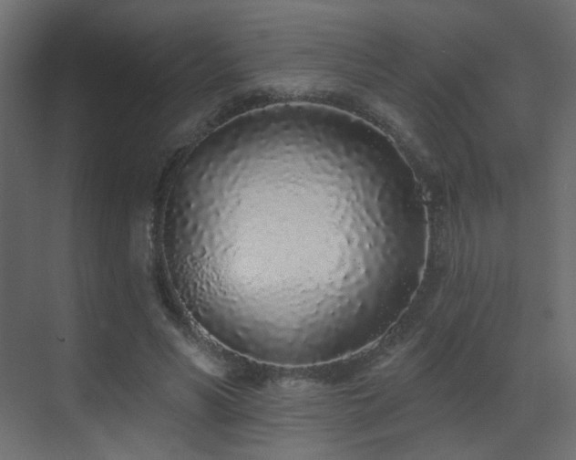 X0000070200590200605261228
