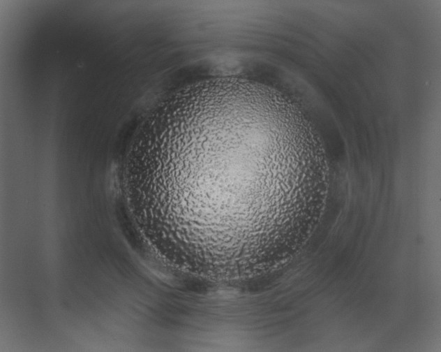 X0000070200598200605261228