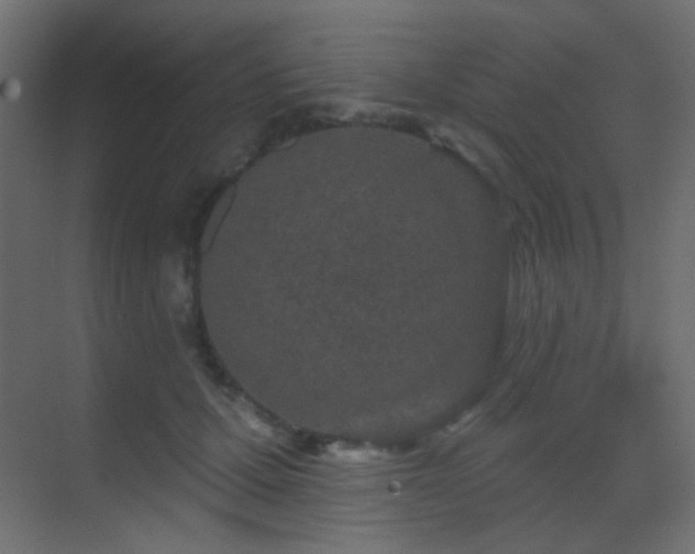 X0000070200607200605261228