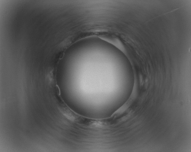 X0000070200611200605261228