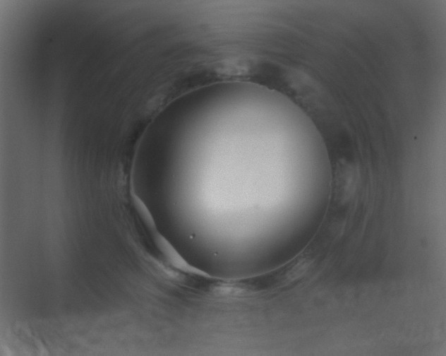 X0000070200614200605261228