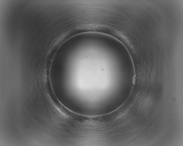 X0000070200633200605261227