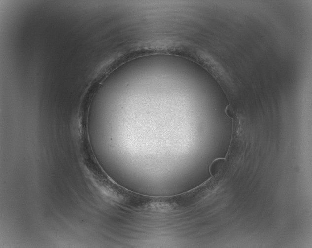 X0000070200636200605261227