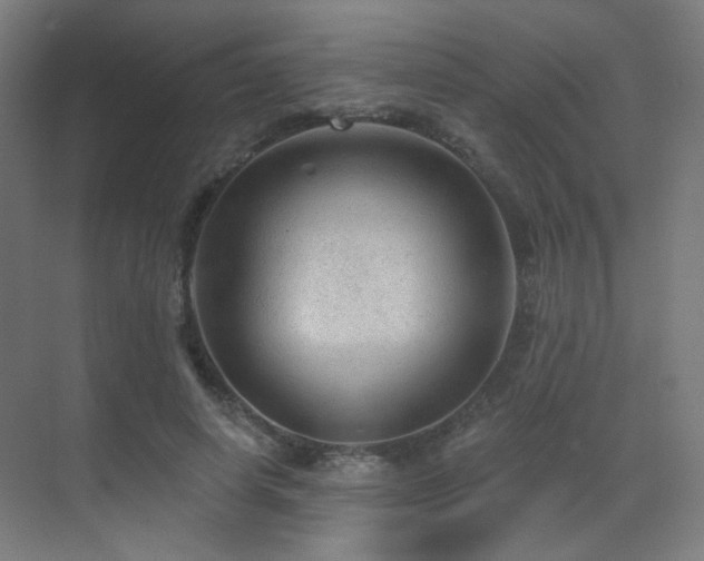 X0000070200642200605261227