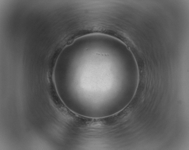 X0000070200643200605261227