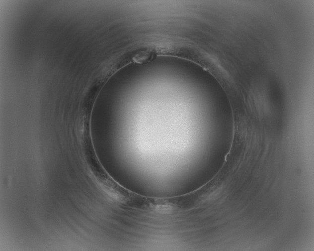X0000070200645200605261227