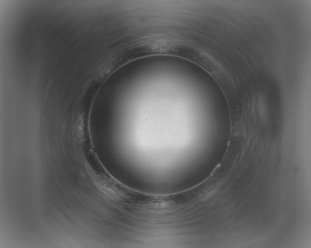 X0000070200646200605261227
