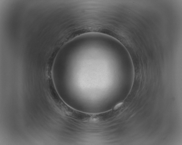 X0000070200647200605261227