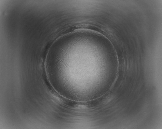 X0000070200649200605261227