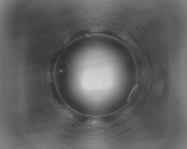 X0000070200655200605261227