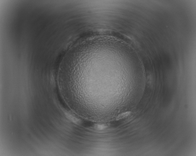 X0000070200662200605261227