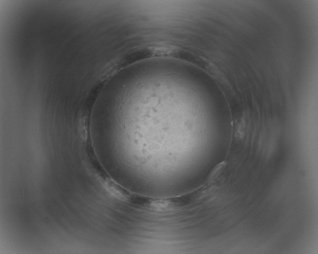 X0000070200666200605261227