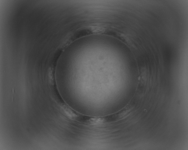 X0000070200667200605261227