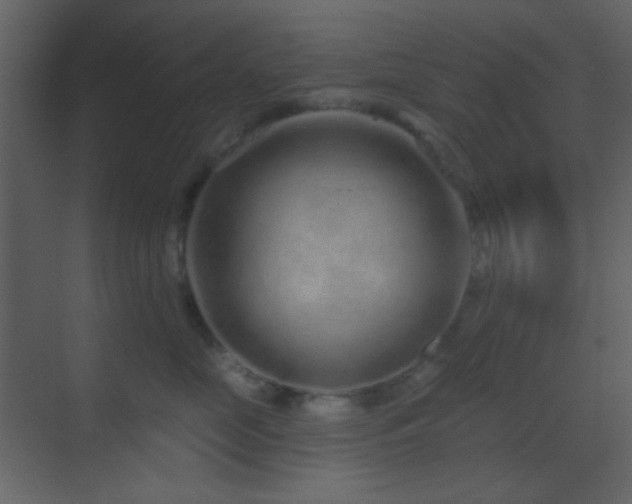 X0000070200669200605261227