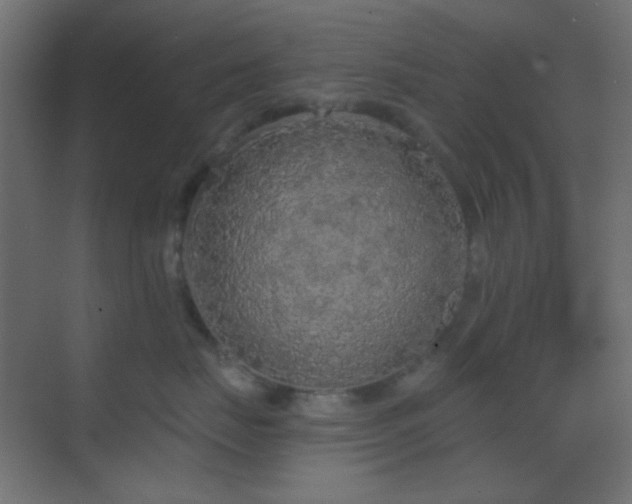 X0000070200671200605261227